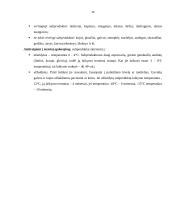 Maisto prekės ir jų klasifikavimas 12 puslapis