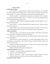 Maisto prekės ir jų klasifikavimas 18 puslapis