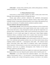 Maisto prekės ir jų klasifikavimas 3 puslapis