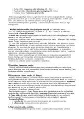 Raidos psichologija 2 puslapis