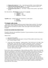 Raidos psichologija 3 puslapis