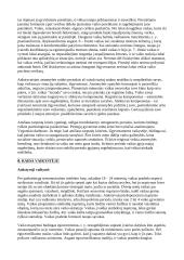 Raidos psichologija 5 puslapis