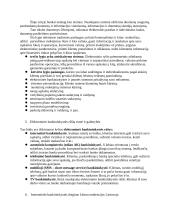 Verslo informacinės sistemos - pasiruošimas egzaminui 2 puslapis