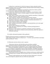 Verslo informacinės sistemos - pasiruošimas egzaminui 11 puslapis