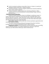 Verslo informacinės sistemos - pasiruošimas egzaminui 14 puslapis