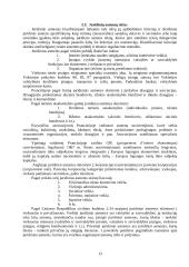 Verslo teisė 13 puslapis