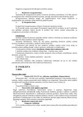 Verslo teisės pagrindai 11 puslapis