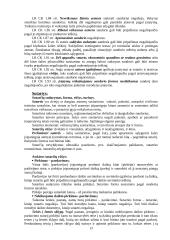 Verslo teisės pagrindai 13 puslapis