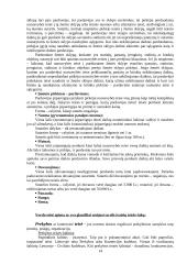 Verslo teisės pagrindai 14 puslapis