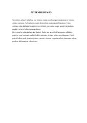 Ankstyvojo amžiaus vaikų kalba ir mąstymas. Ikimokyklinio amžiaus vaikų kalba ir mąstymas 6 puslapis
