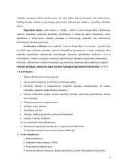 Elektroninė valdžia, remiantis strateginiais dokumentais 2 puslapis