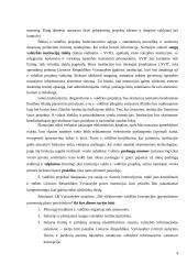 Elektroninė valdžia, remiantis strateginiais dokumentais 4 puslapis
