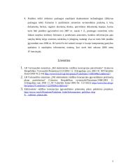 Elektroninė valdžia, remiantis strateginiais dokumentais 5 puslapis
