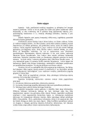 Japonija ir jos charakteristika 19 puslapis