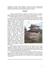 Japonija ir jos charakteristika 9 puslapis