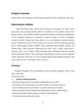 Kanados geografija 8 puslapis