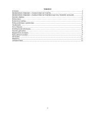 Komercinės sutarties sąlygų  teisinė analizė 2 puslapis