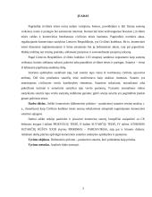 Komercinės sutarties sąlygų  teisinė analizė 3 puslapis