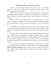 Komercinės sutarties sąlygų  teisinė analizė 4 puslapis