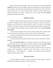 Komercinės sutarties sąlygų  teisinė analizė 9 puslapis