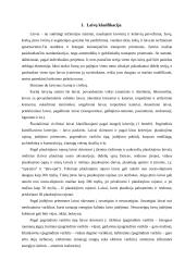 Laivų klasifikacija ir tipai 3 puslapis
