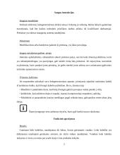 Ledo generatorių konstrukciniai ir priežiūros ypatumai 5 puslapis