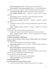 Lietuvos geomorfologinio žemėlapio analizė 11 puslapis
