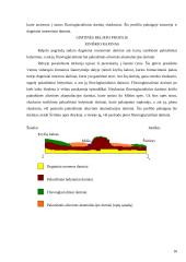 Lietuvos geomorfologinio žemėlapio analizė 16 puslapis