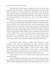 Lietuvos pramonės apžvalga 2 puslapis