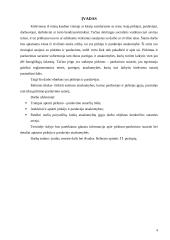 Pirkėjo ir pardavėjo atsakomybė 3 puslapis