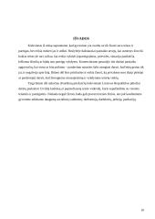 Pirkėjo ir pardavėjo atsakomybė 9 puslapis