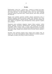 Raugintų pieno produktų mikrobiologija 13 puslapis