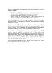 Raugintų pieno produktų mikrobiologija 8 puslapis