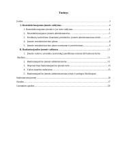 Restruktrūrizuojamos ir bankrutuojančios įmonės valdymas 2 puslapis