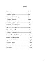 Trikampiai. Trikampių rūšys. Trikampių elementai 2 puslapis