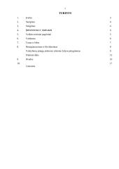 Valstybės ir savivaldybės įmonės 2 puslapis