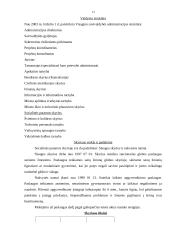 Valstybės ir savivaldybės įmonės 13 puslapis