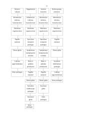 Valstybės ir savivaldybės įmonės 14 puslapis