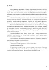 Viešųjų elektroninių paslaugų teikimas Birštono ir Šalčininkų rajono savivaldybėse 3 puslapis
