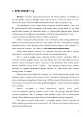 Viešųjų elektroninių paslaugų teikimas Birštono ir Šalčininkų rajono savivaldybėse 9 puslapis