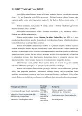 Viešųjų elektroninių paslaugų teikimas Birštono ir Šalčininkų rajono savivaldybėse 10 puslapis