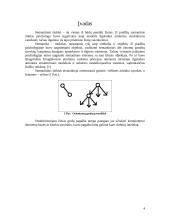 Žinių vaizdavimas semantiniais tinklais 4 puslapis