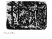 1863 metų laisvės kovos 13 puslapis