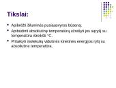 Absoliutinė temperatūra 2 puslapis