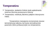 Absoliutinė temperatūra 5 puslapis