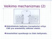 Aneteziologija iki eterio 14 puslapis