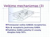 Aneteziologija iki eterio 17 puslapis
