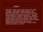 Lietuvos prezidentas Antanas Smetona 9 puslapis