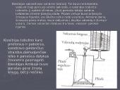Antikos technikos ištakos 15 puslapis
