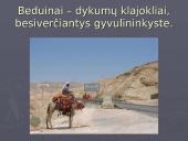 Arabai - Islamas 7 puslapis